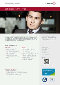 Sales-Engineer-China-preview.jpg